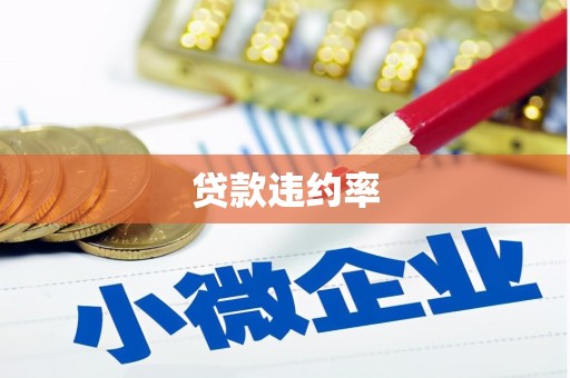 宁远贷款违约率