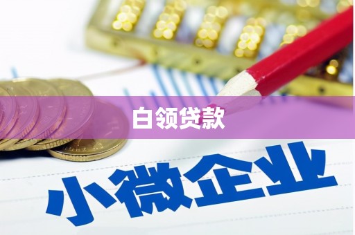 宁远白领贷款