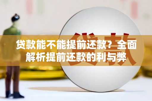 宁远贷款能不能提前还款？全面解析提前还款的利与弊