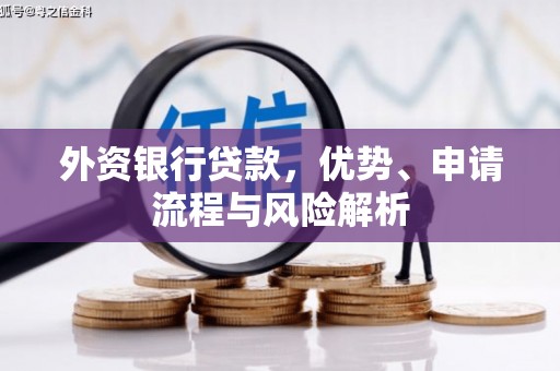 宁远外资银行贷款，优势、申请流程与风险解析