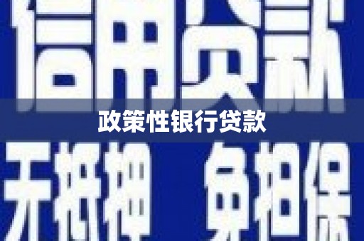 宁远政策性银行贷款