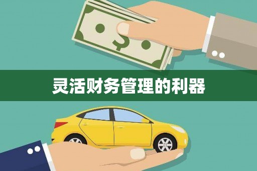 宁远灵活财务管理的利器