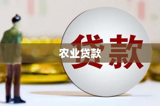 宁远农业贷款