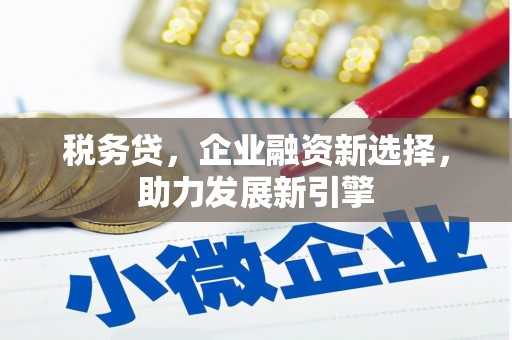 宁远税务贷，企业融资新选择，助力发展新引擎