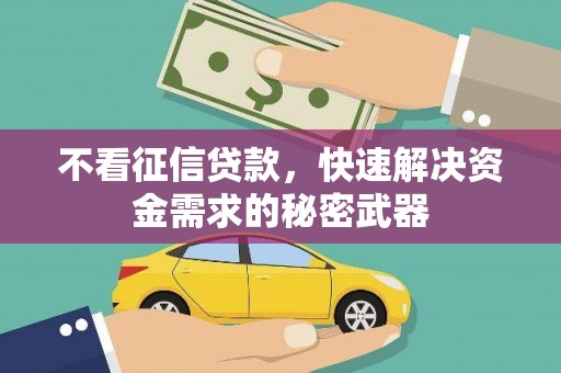 宁远不看征信贷款，快速解决资金需求的秘密武器
