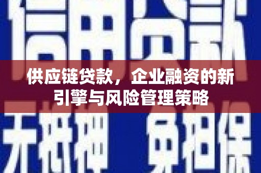 宁远供应链贷款，企业融资的新引擎与风险管理策略
