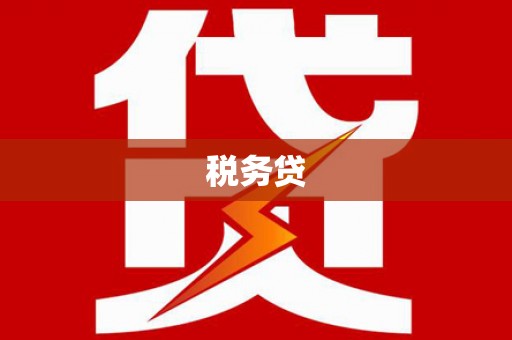 宁远税务贷