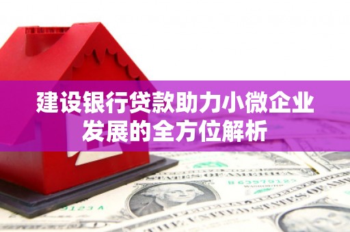 宁远建设银行贷款助力小微企业发展的全方位解析