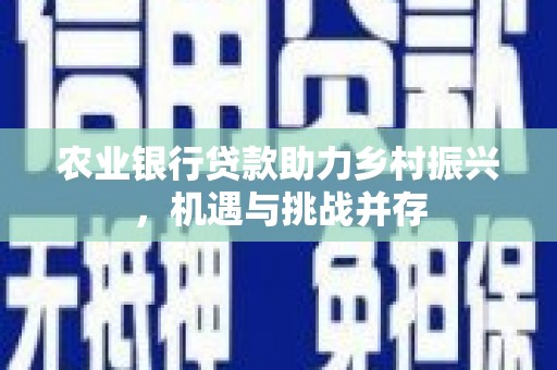 宁远农业银行贷款助力乡村振兴，机遇与挑战并存