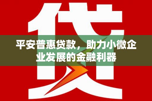 宁远平安普惠贷款，助力小微企业发展的金融利器
