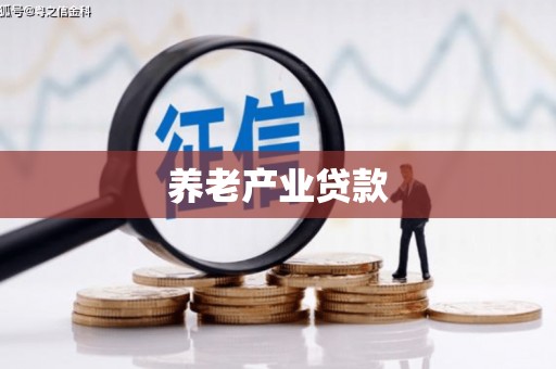 宁远养老产业贷款