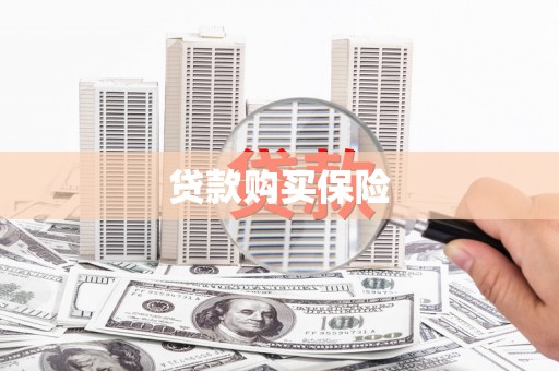 宁远贷款购买保险