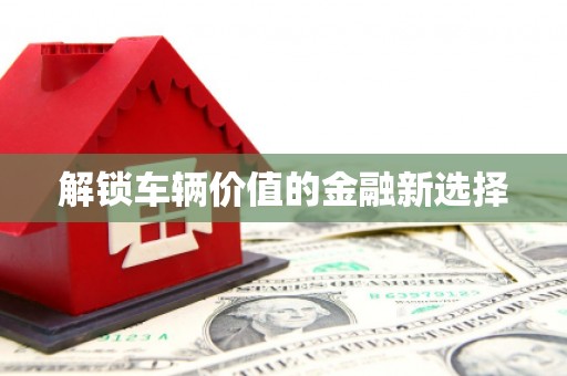宁远解锁车辆价值的金融新选择