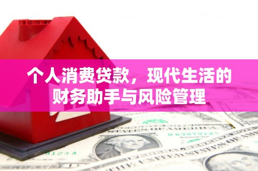 宁远个人消费贷款，现代生活的财务助手与风险管理